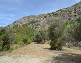 lands for sale in beniarda