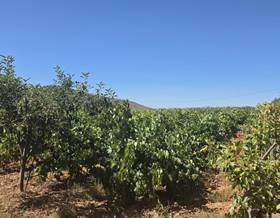 lands for sale in laujar de andarax