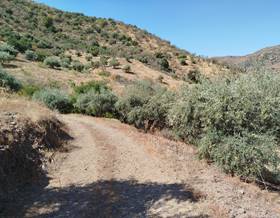 lands for sale in la dehesa