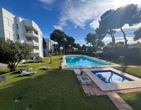 apartments for rent in san pedro de alcantara