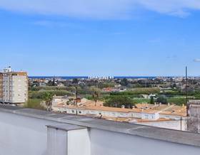 apartments for sale in l´ alqueria de la condesa