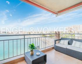apartment rent torrevieja playa los locos by 1,150 eur