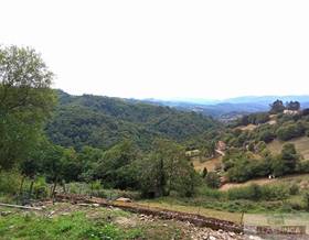 land sale siero la rasa by 28,000 eur