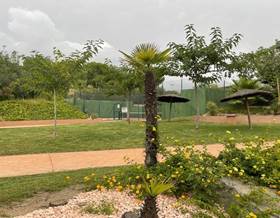 houses for sale in sant carles de la rapita