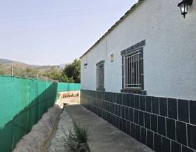 rustic property sale alcolea south of spain by 50,000 eur