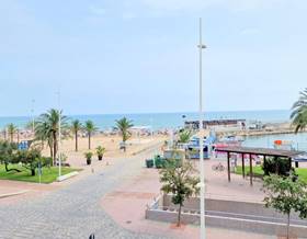 apartment rent valencia gandia by 900 eur