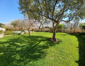 apartments for sale in sant jaume dels domenys