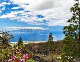 lands for sale in tenerife sta. cruz de tenerife