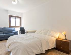 apartments for rent in petrer