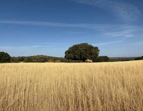 rustic property sale ciudad real ruidera by 0 eur