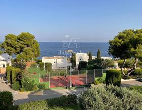 houses for sale in ibiza