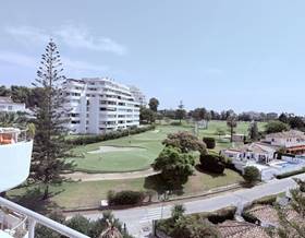 apartments for rent in san pedro de alcantara