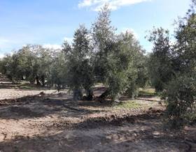 rustic property sale córdoba lucena by 163,000 eur