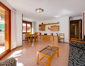 apartments for sale in benijofar