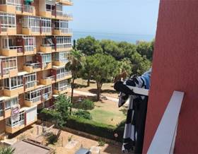 apartments for sale in el faro
