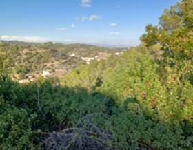 land sale castellet i la gornal urb. los rosales by 55,000 eur