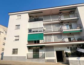 houses for sale in caceres province