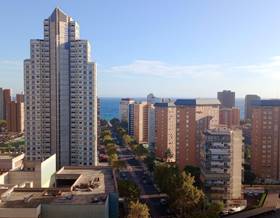 apartment sale benidorm avenida europa by 259,000 eur