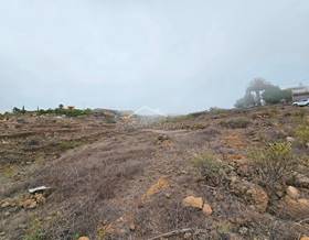 lands for sale in tijoco