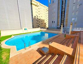 apartment rent gandia playa de gandia by 600 eur