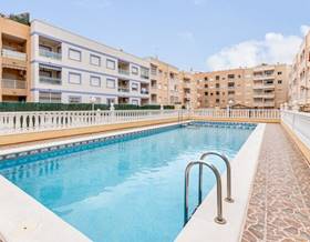 apartments for sale in san miguel de salinas