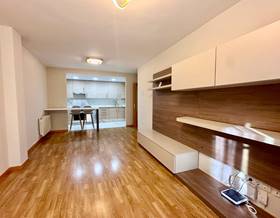 houses for rent in guadalajara