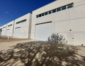 industrial warehouses for rent in amposta