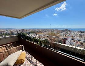 apartments for sale in calvia