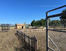 lands for sale in marratxi