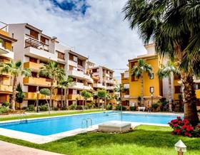apartments for rent in orihuela costa