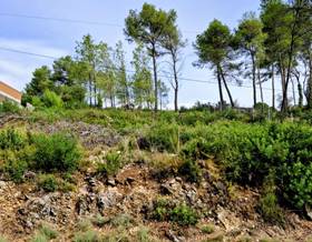 land sale barcelona olivella by 42,000 eur