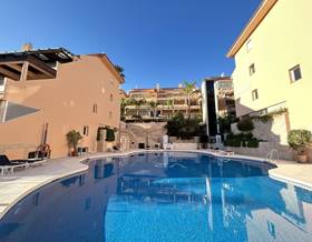 apartments for rent in san pedro de alcantara