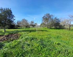 land sale san lorenzo de balafia by 900,000 eur