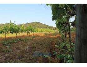 lands for sale in blanes