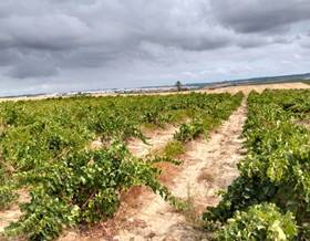 rustic property sale bollullos par del condado bollullos par del condado by 50,000 eur