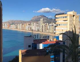 apartments for sale in benidorm