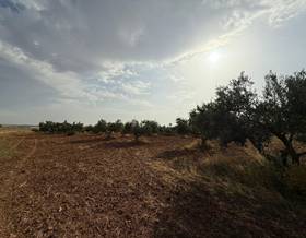 land sale carmona carmona by 55,000 eur