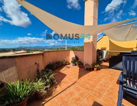 apartments for sale in sineu