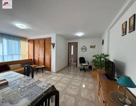 apartments for rent in jerez de la frontera