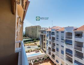 flat rent granada almuñecar by 650 eur