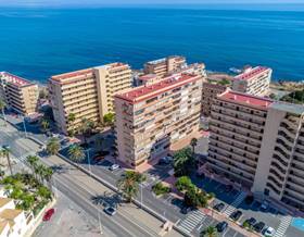 apartments for sale in punta prima