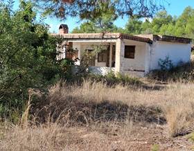 land sale l´ alcora pedrizas-pedrissetes by 60,000 eur