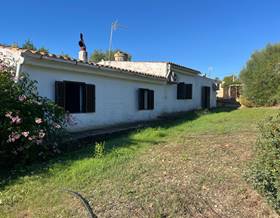 villas for sale in alaro