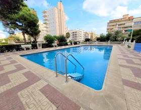 apartment rent valencia gandia by 600 eur