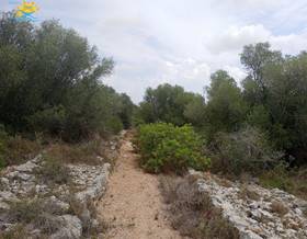 lands for sale in traiguera