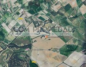 lands for sale in petra