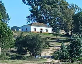 rustic property sale huelva almonte by 490,000 eur