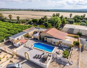 land sale los montesinos by 900,000 eur