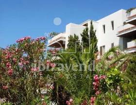 apartments for sale in cala san vicente