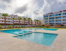 apartments for sale in dehesa de campoamor